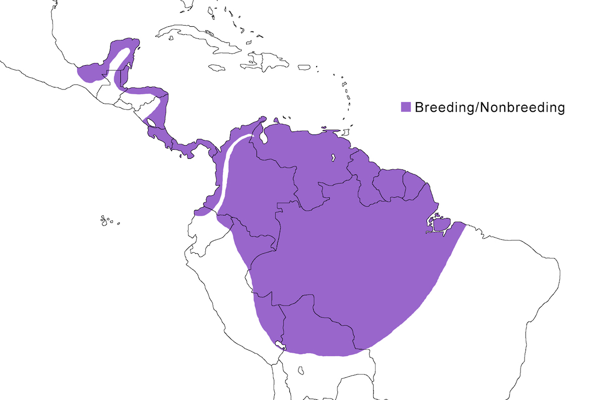 distribution map