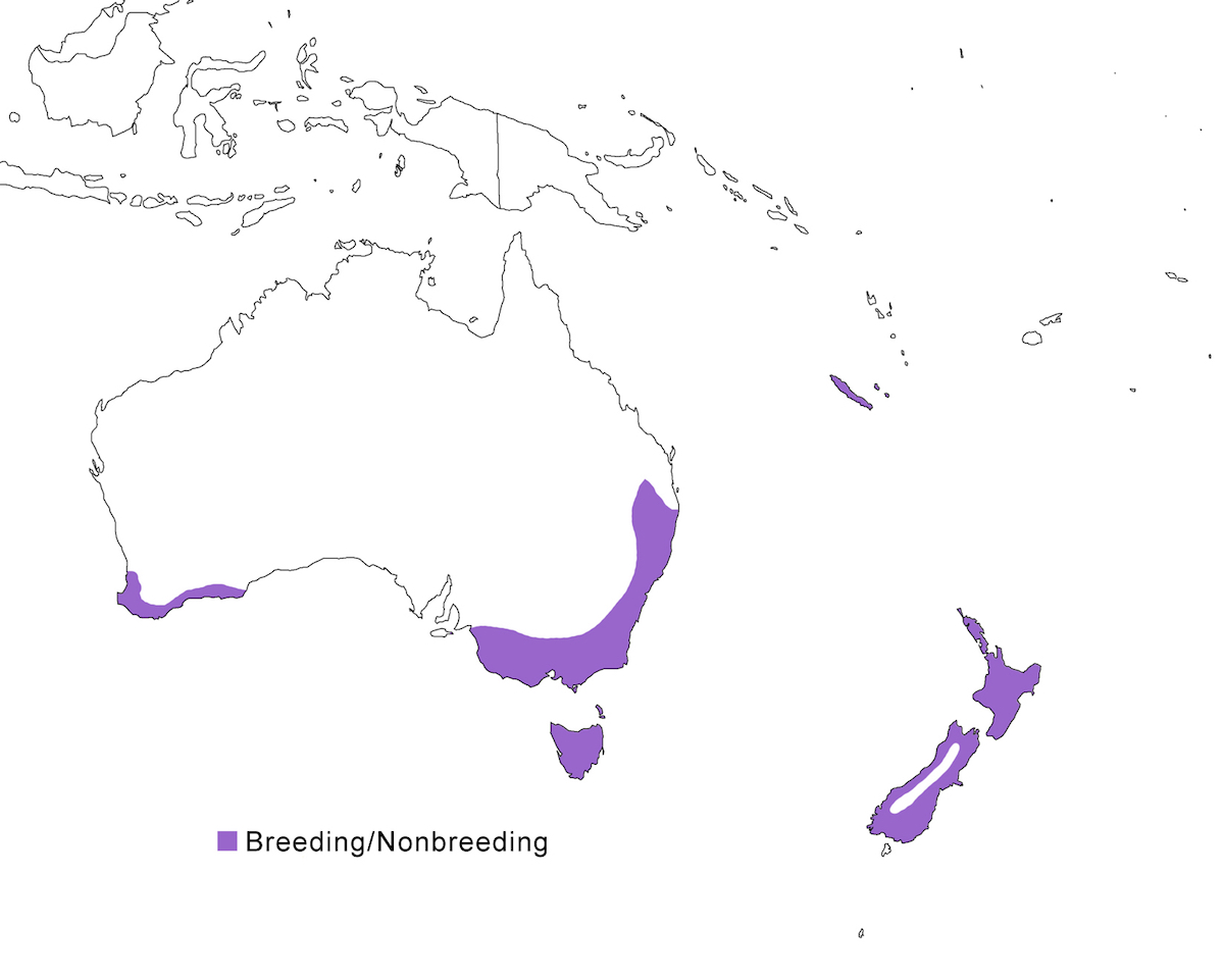 distribution map