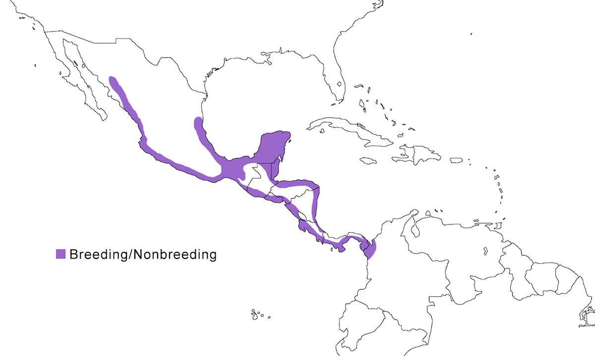 distribution map