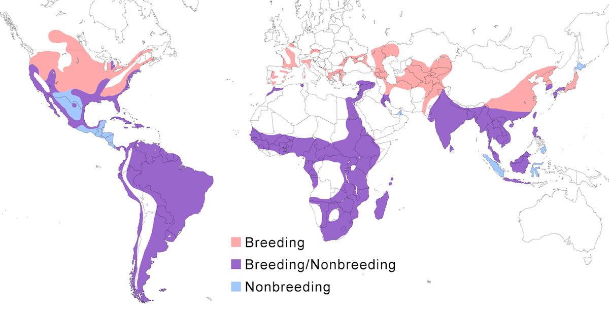 distribution map