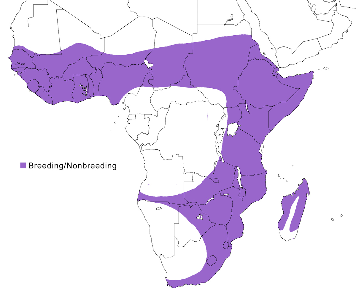 distribution map
