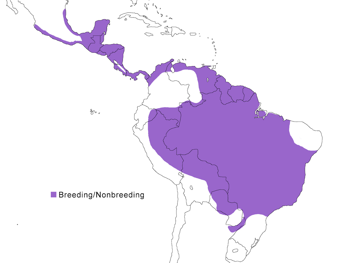 distribution map