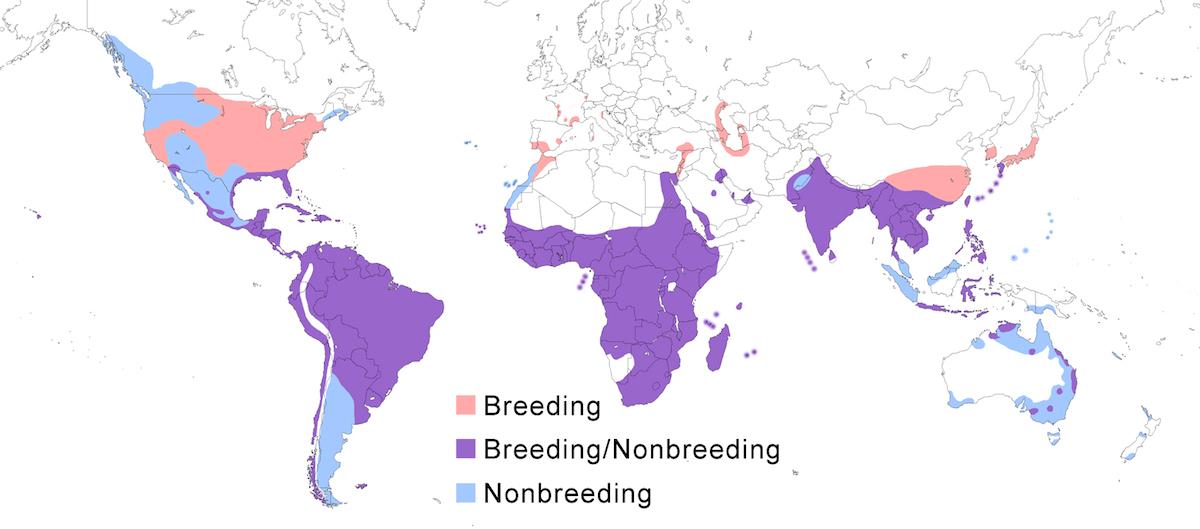 distribution map