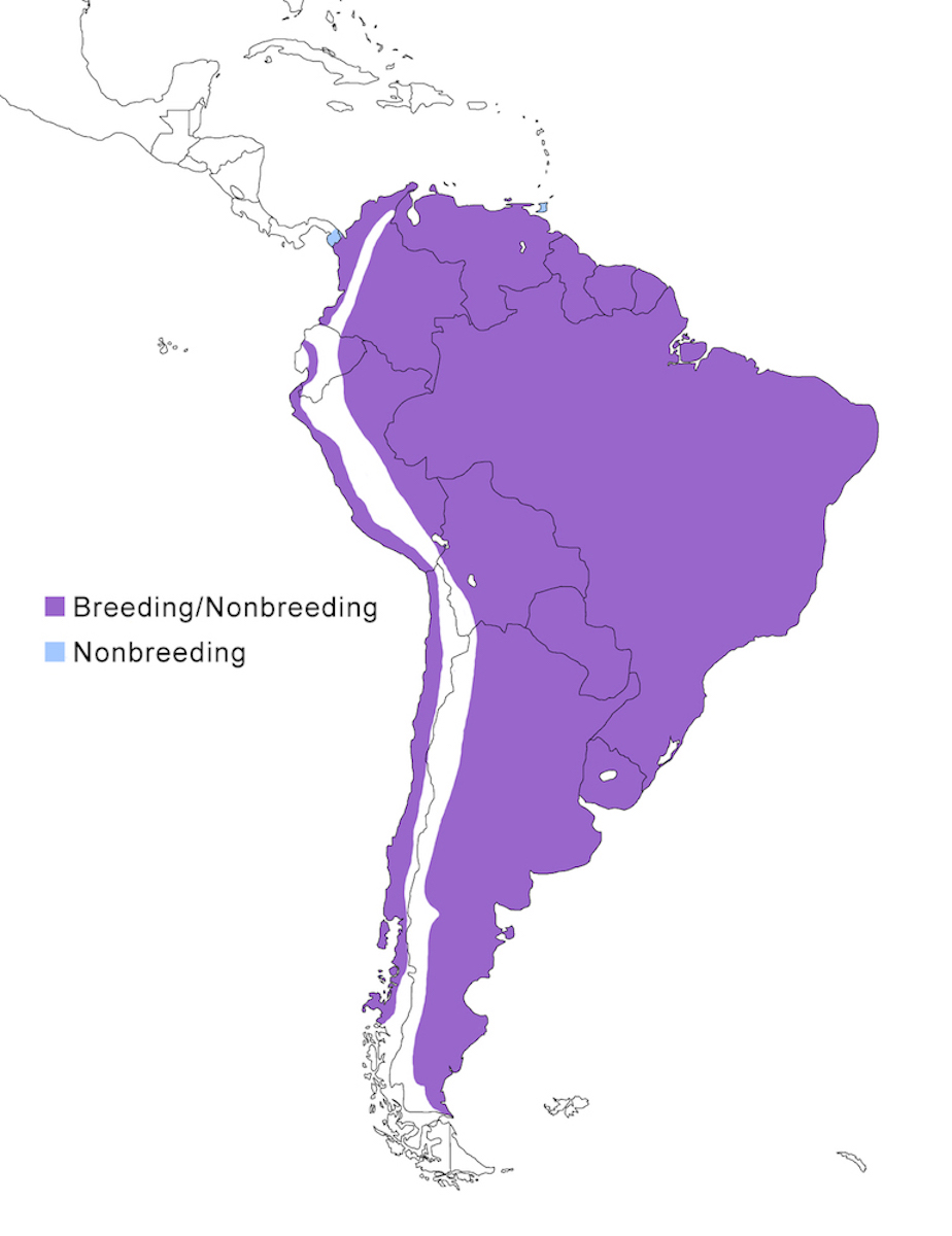 distribution map