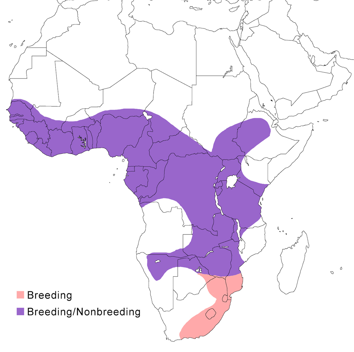 distribution map
