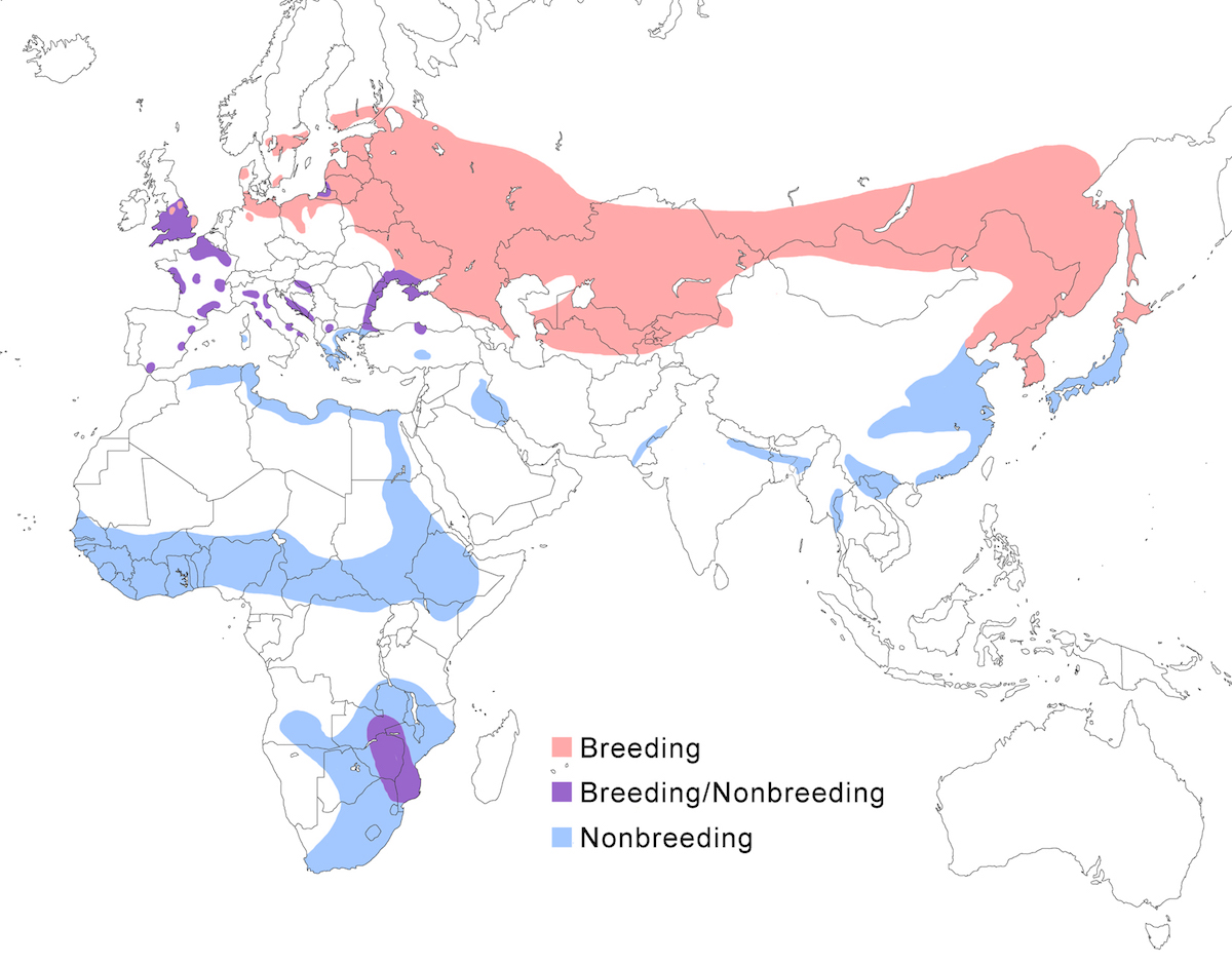 distribution map