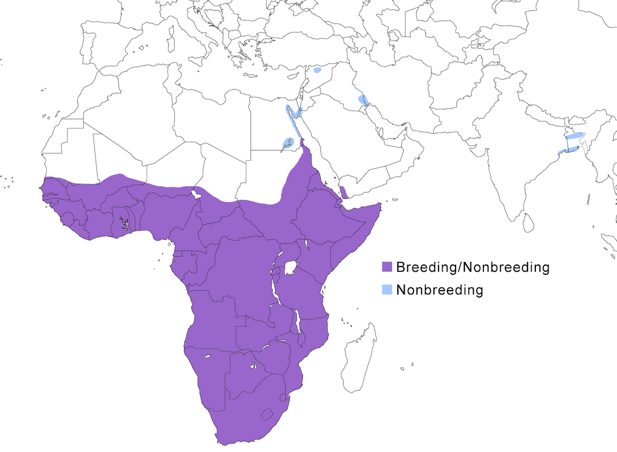 distribution map