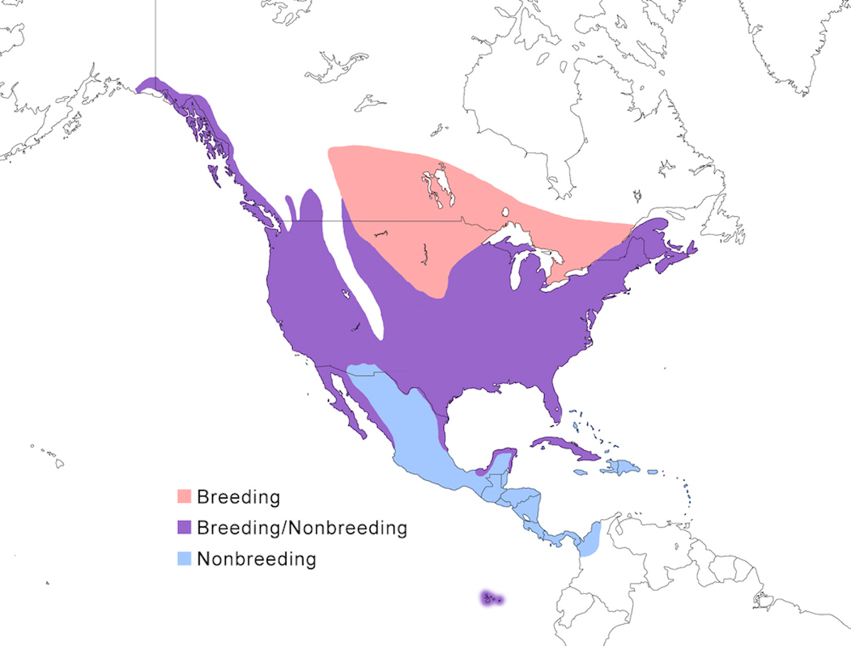 distribution map