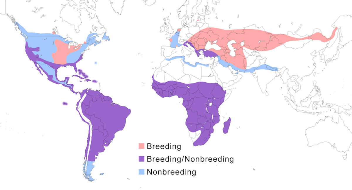 distribution map