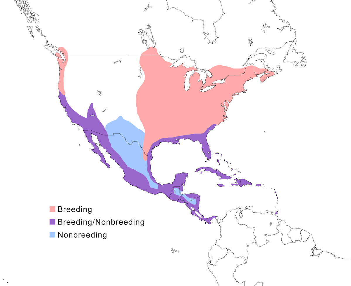 distribution map