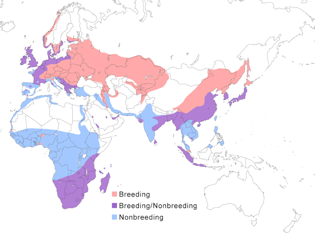 distribution map