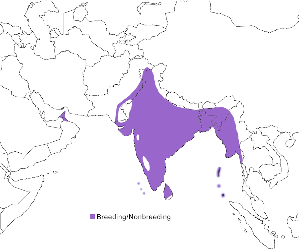 distribution map