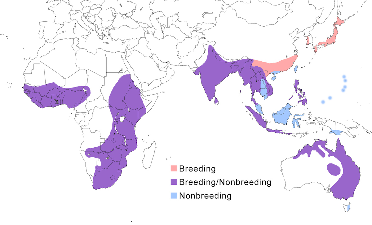 distribution map
