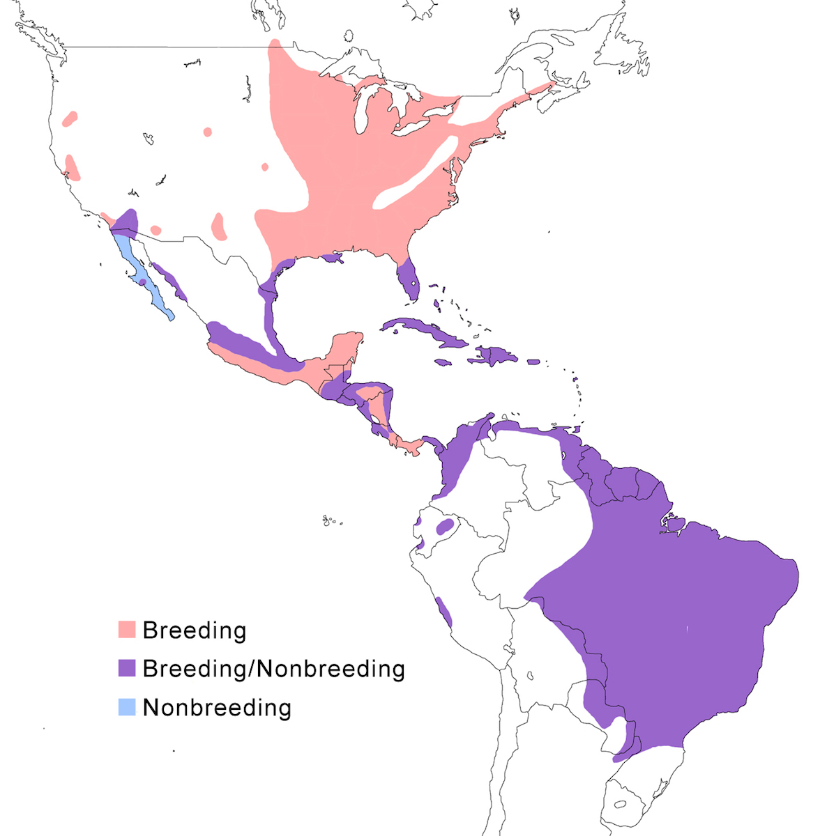 distribution map