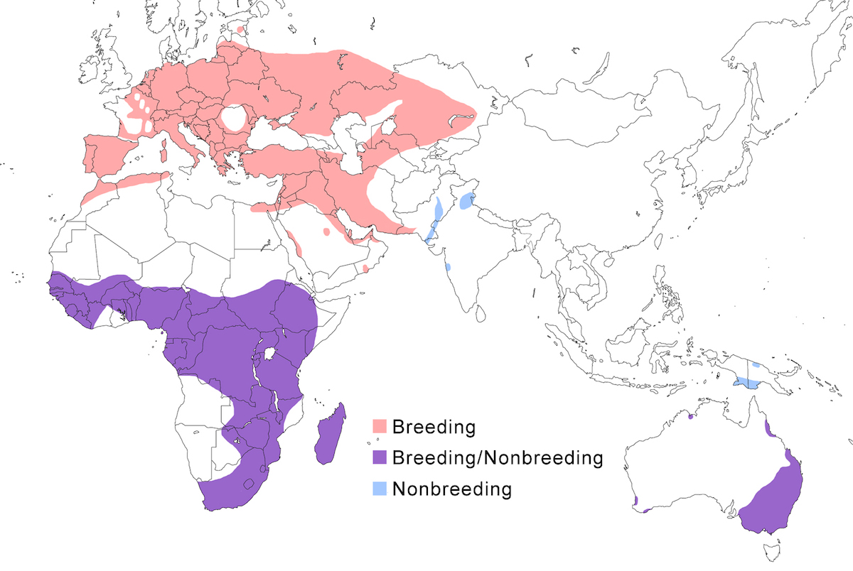 distribution map