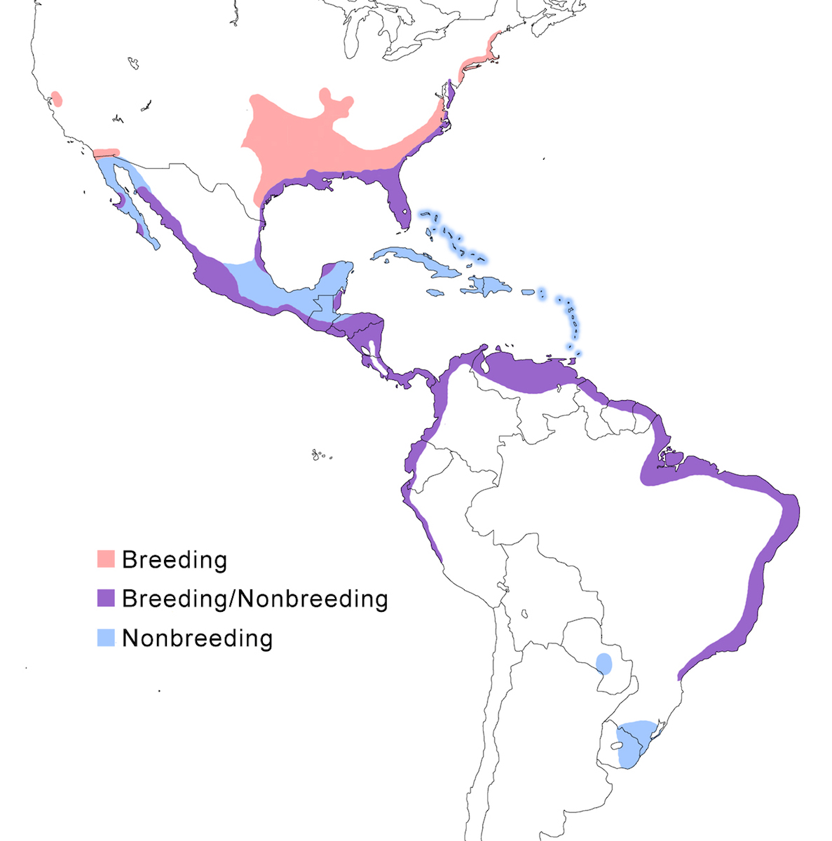 distribution map