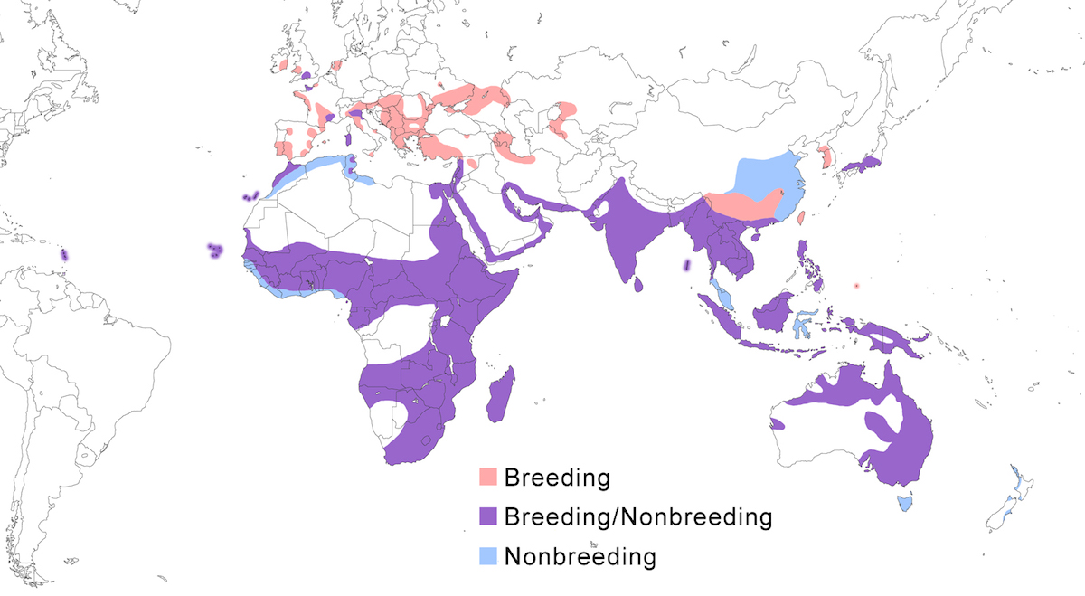distribution map