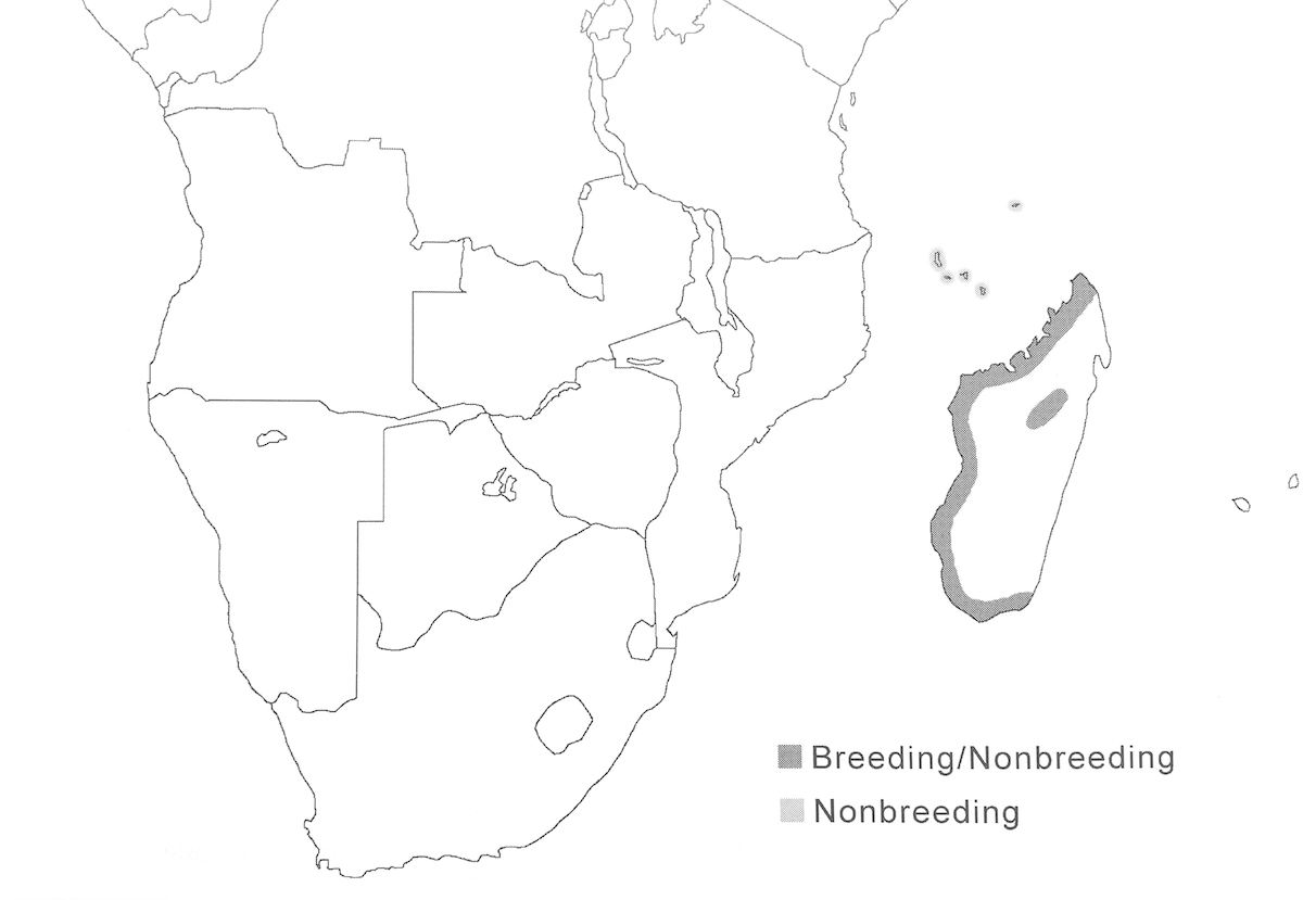 distribution map