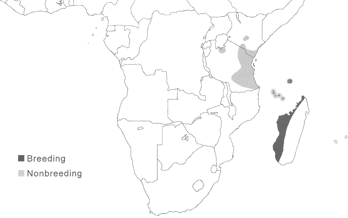 distribution map