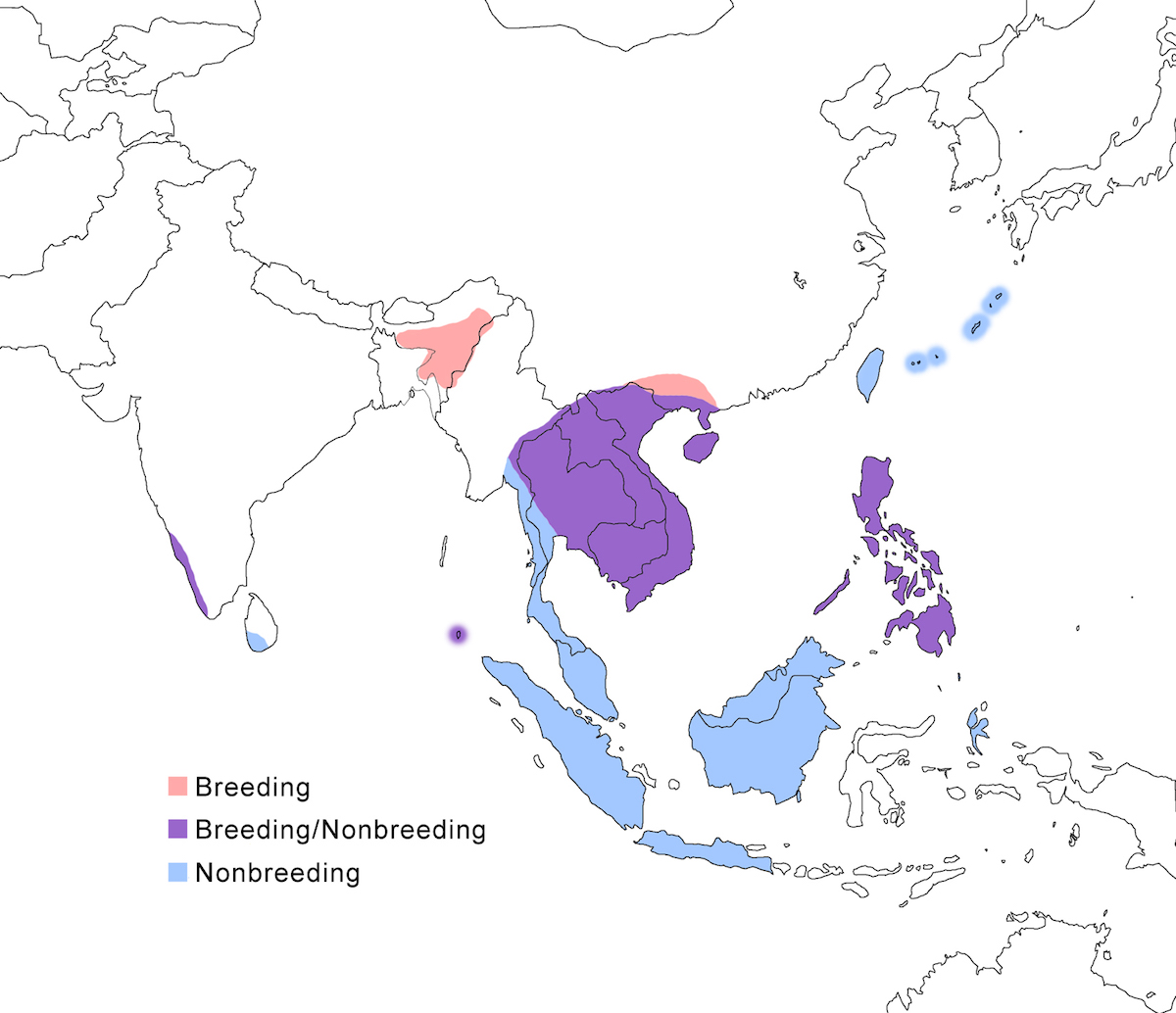 distribution map