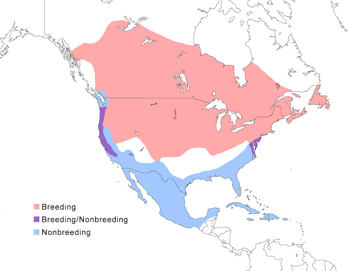 distribution map