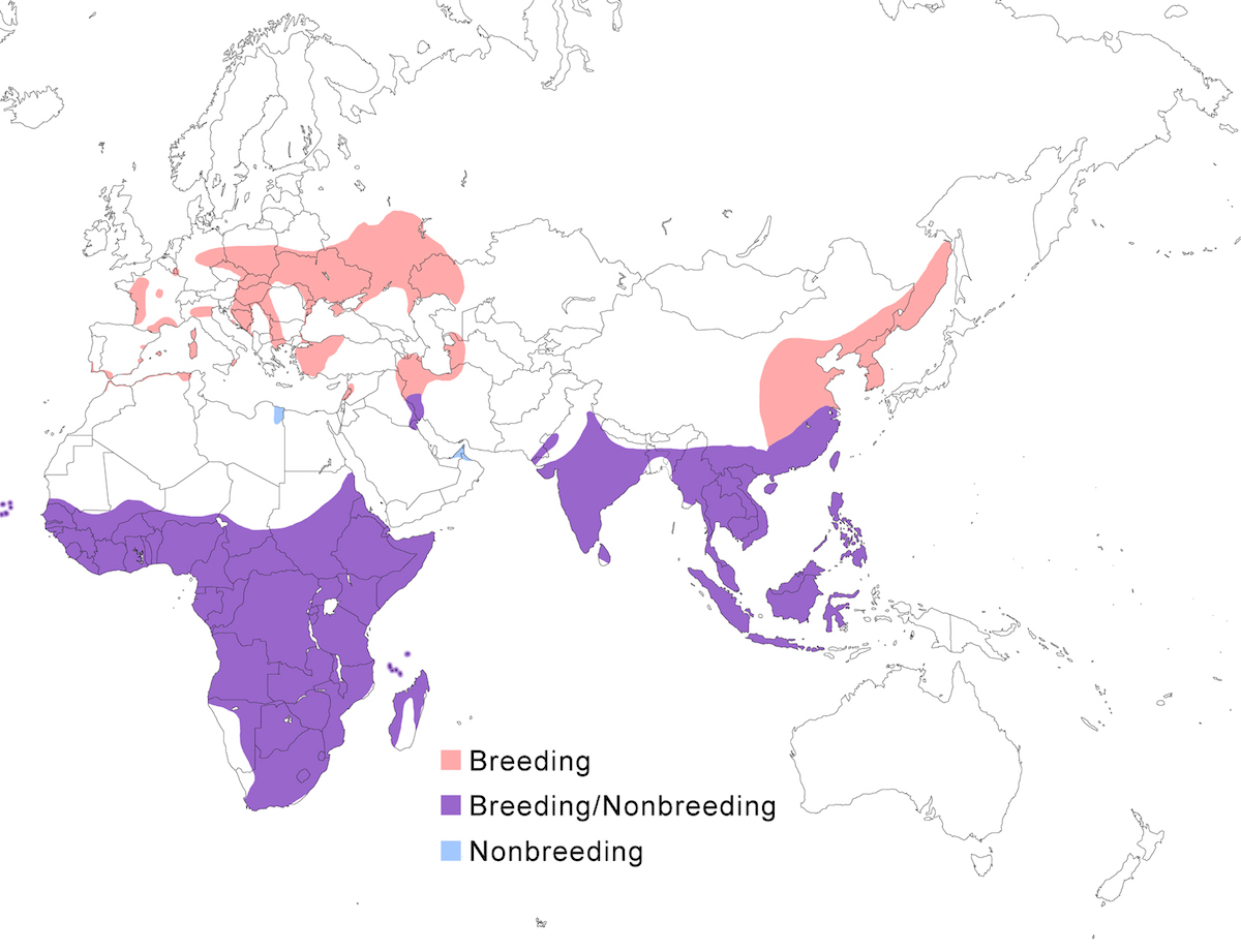 distribution map