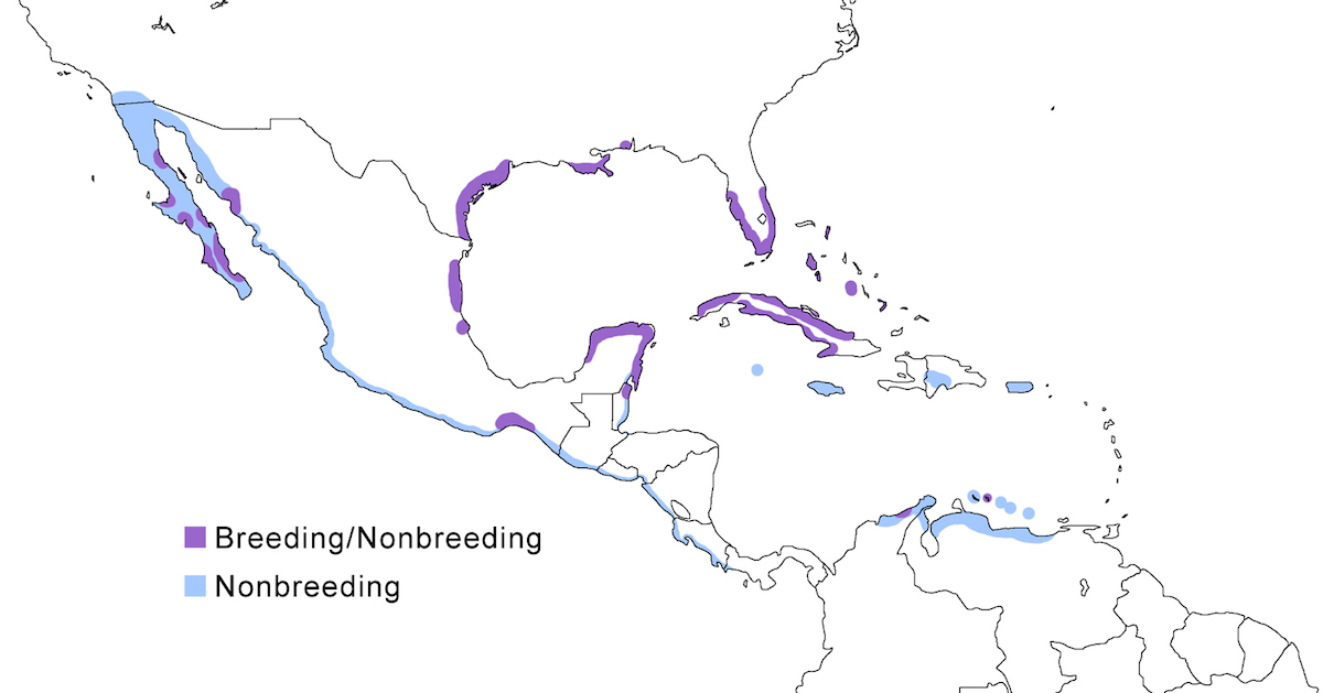 distribution map