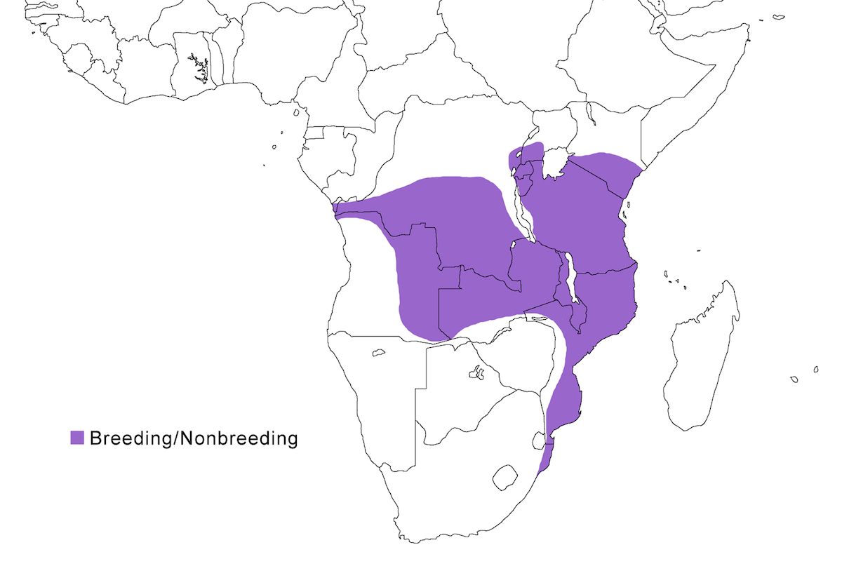 distribution map