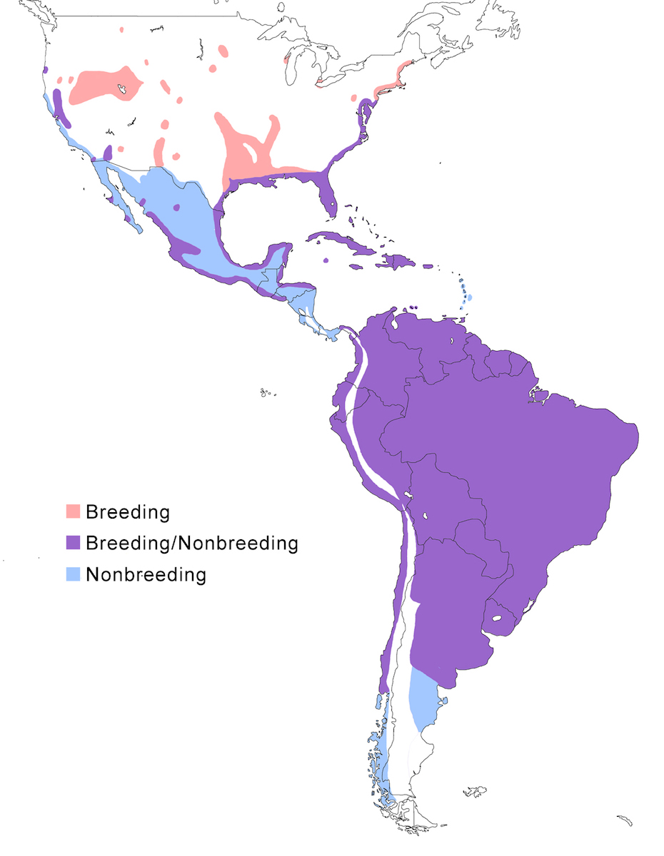 distribution map