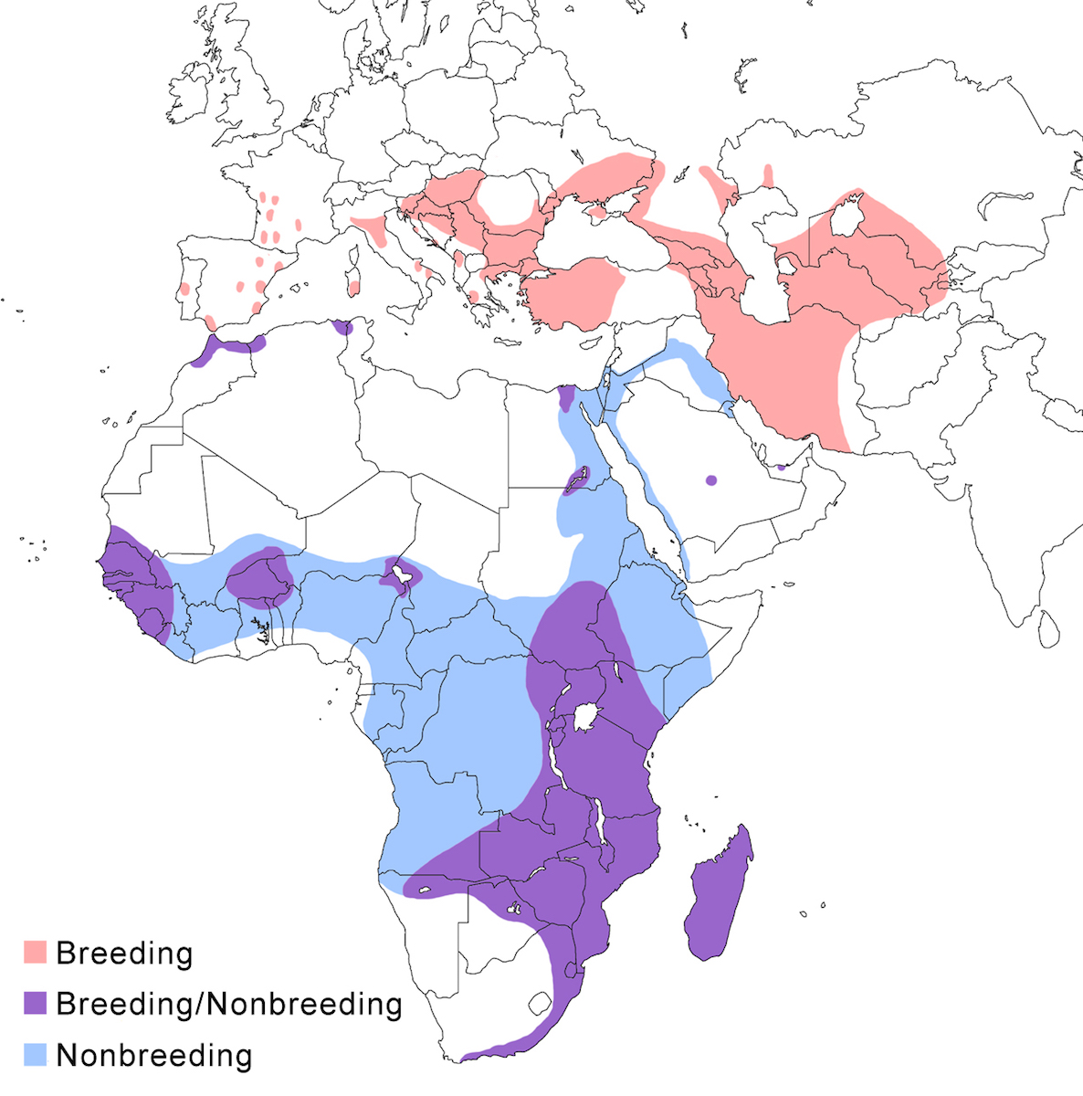 distribution map