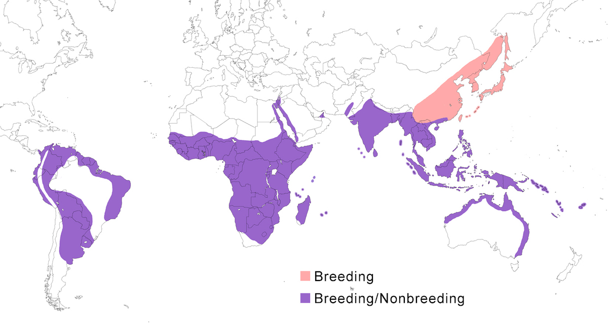 distribution map
