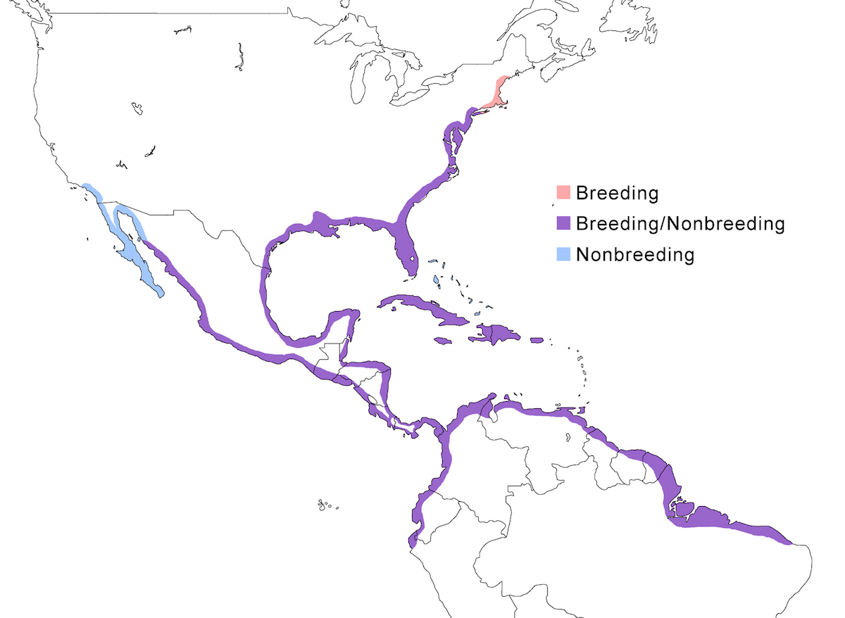 distribution map