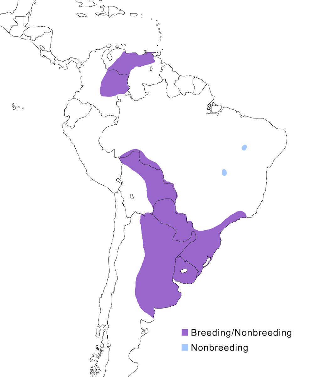 distribution map