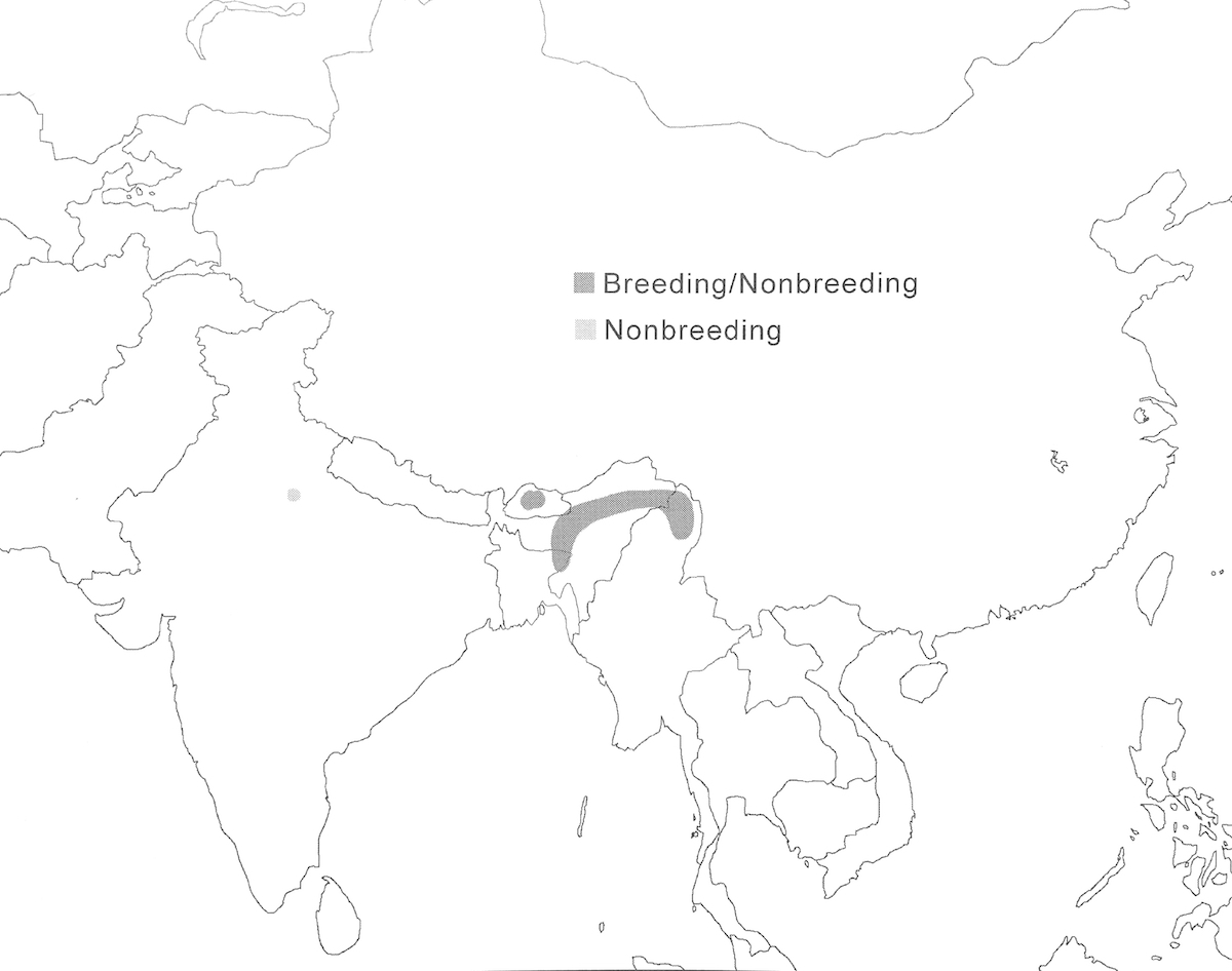 distribution map