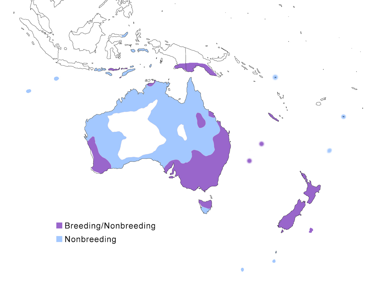 distribution map