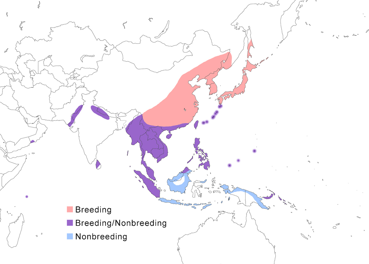 distribution map