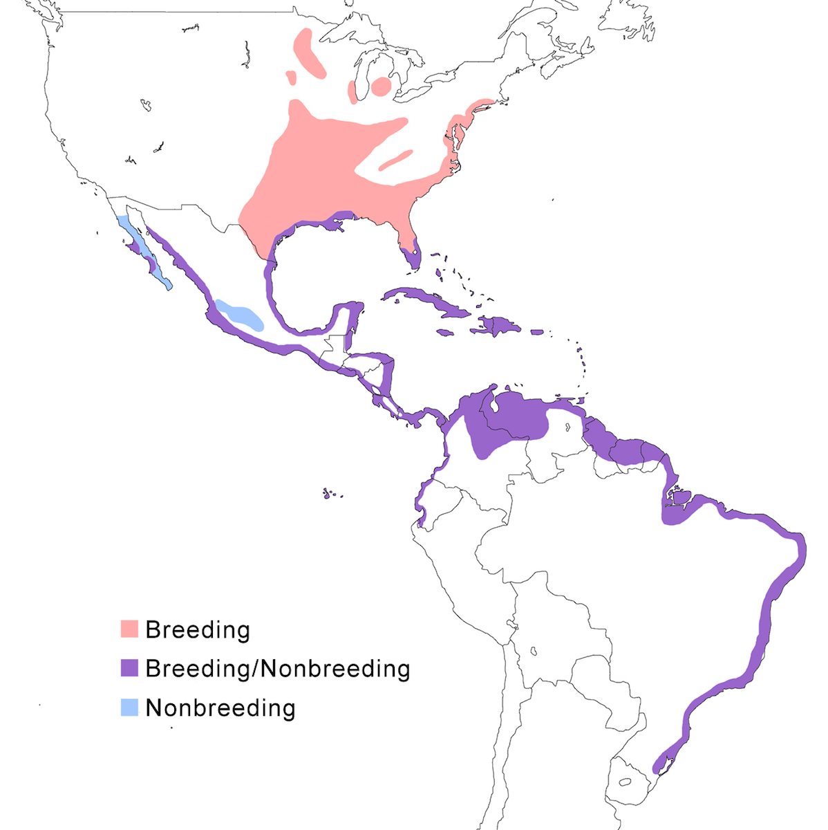 distribution map